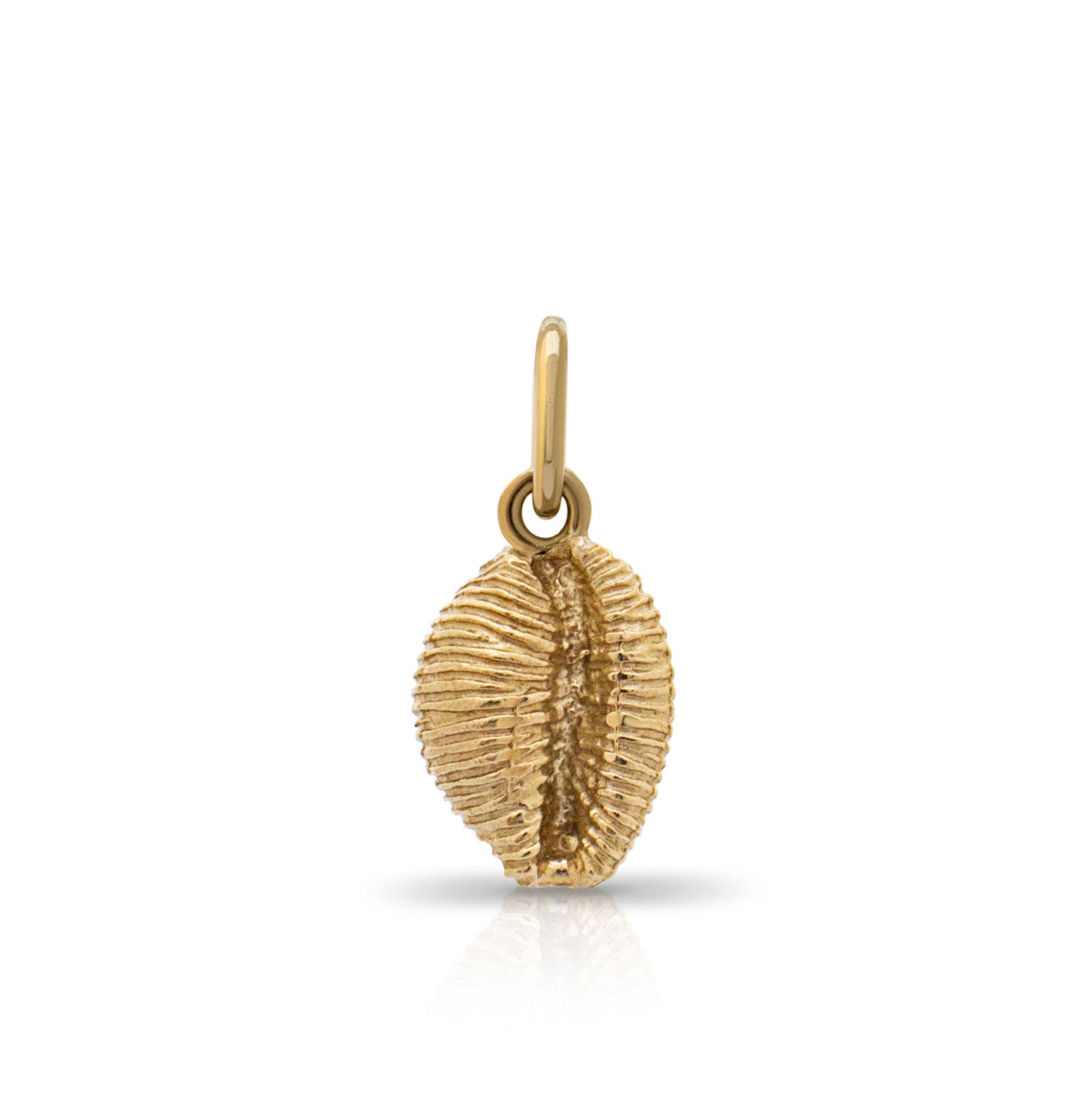Langland pendant. Cowrie shell pendant. Langland charm. Langland necklace. Langland Bay, Wales. Wales jewellery. Gower jewellery. Wales shell jewellery. Silver shell jewellery. Gold shell jewellery. Those Happy Places. Cowrie shell necklace.