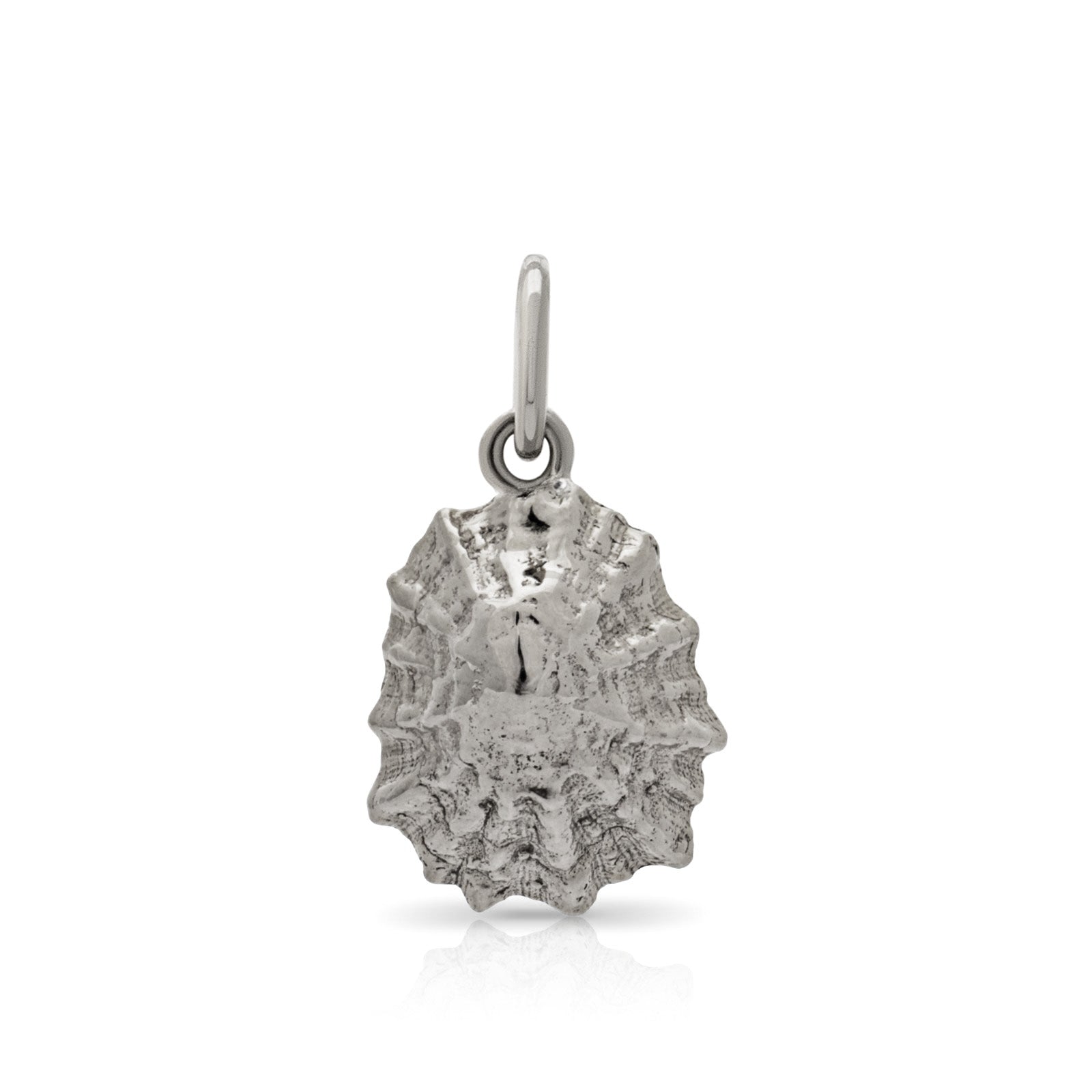 Limpet shell pendant. Constantine Bay pendant. Cornwall jewellery. Cornwall shell jewellery.