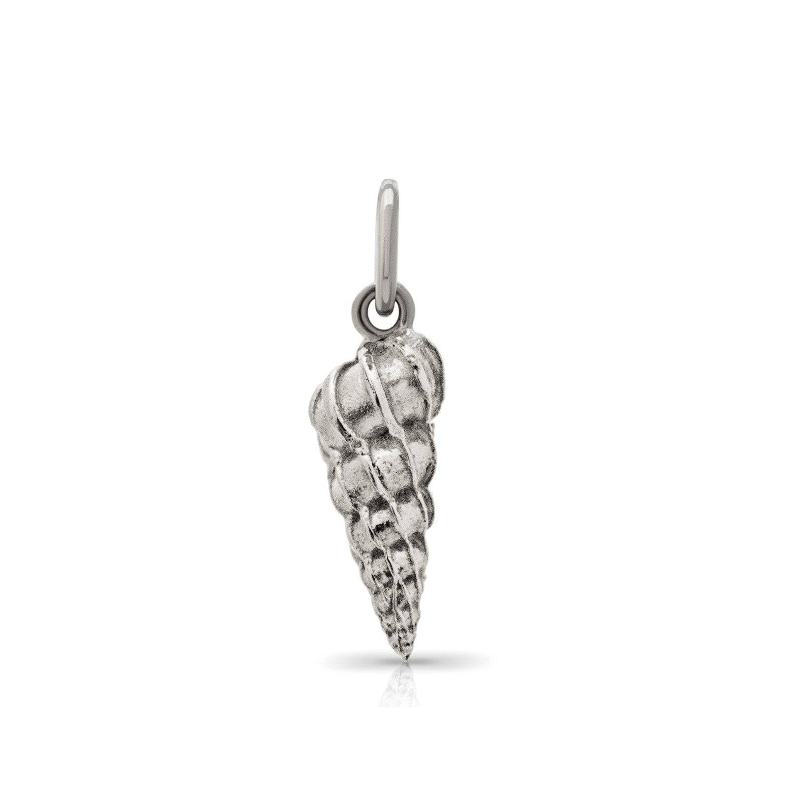 Wentletrap shell pendant. Daymer Bay pendant. Daymer Bay charm. Daymer Bay necklace. Cornwall jewellery. Cornwall shell jewellery.