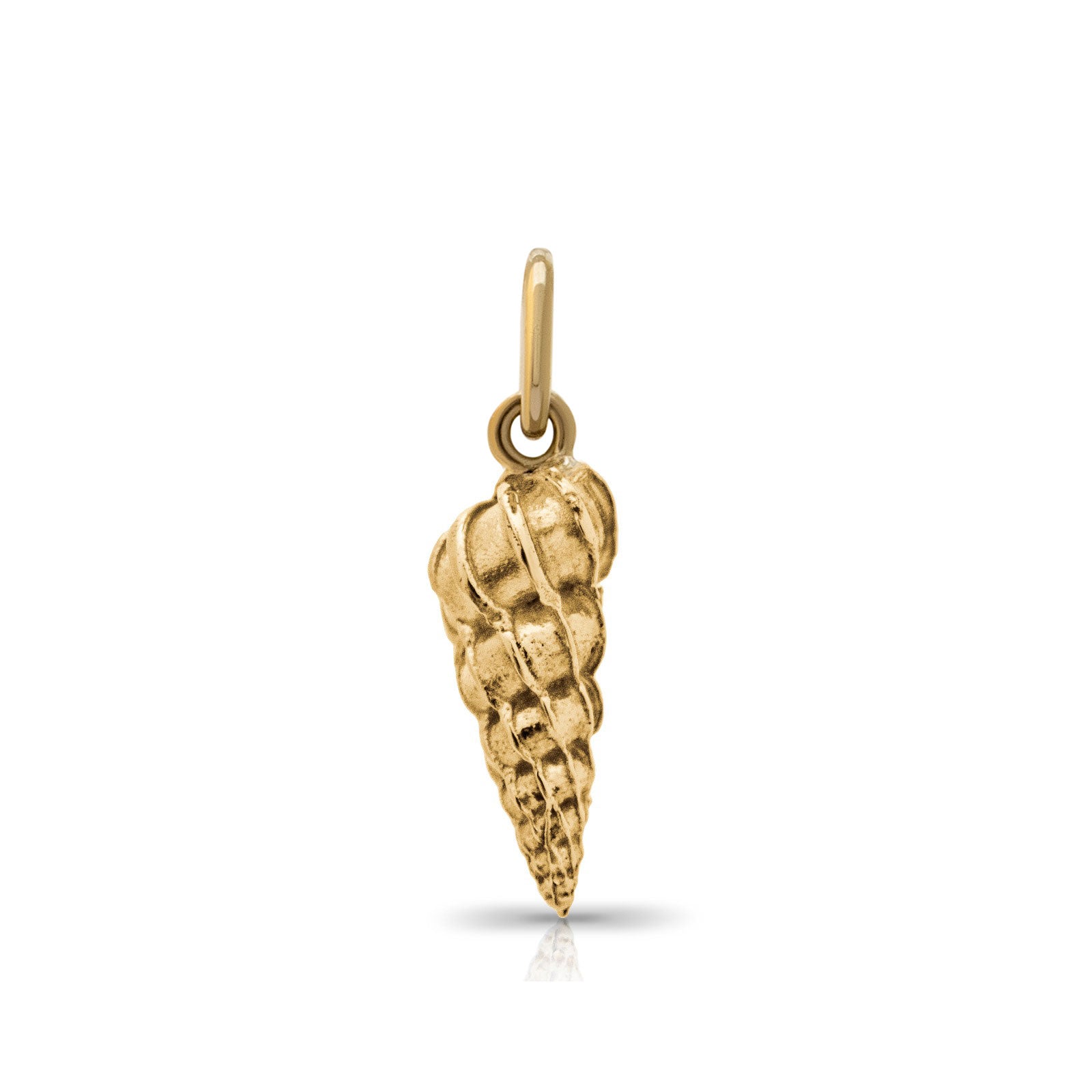 Wentletrap shell pendant. Daymer Bay pendant. Daymer Bay charm. Daymer Bay necklace. Cornwall jewellery. Cornwall shell jewellery.