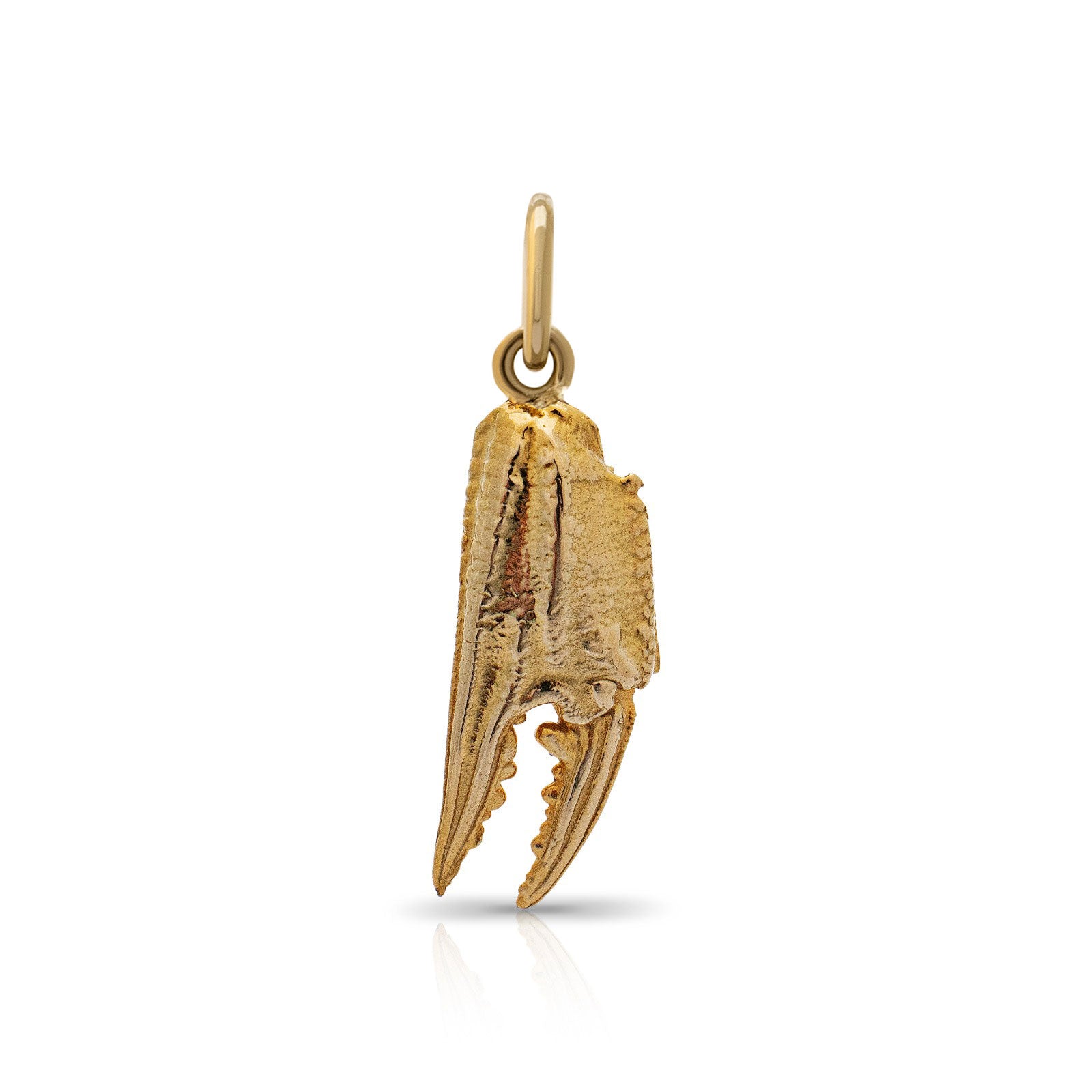 Cromer crab claw pendant. Cromer charm. Cromer necklace. Norfolk jewellery. Norfolk shell jewellery. Those Happy Places.