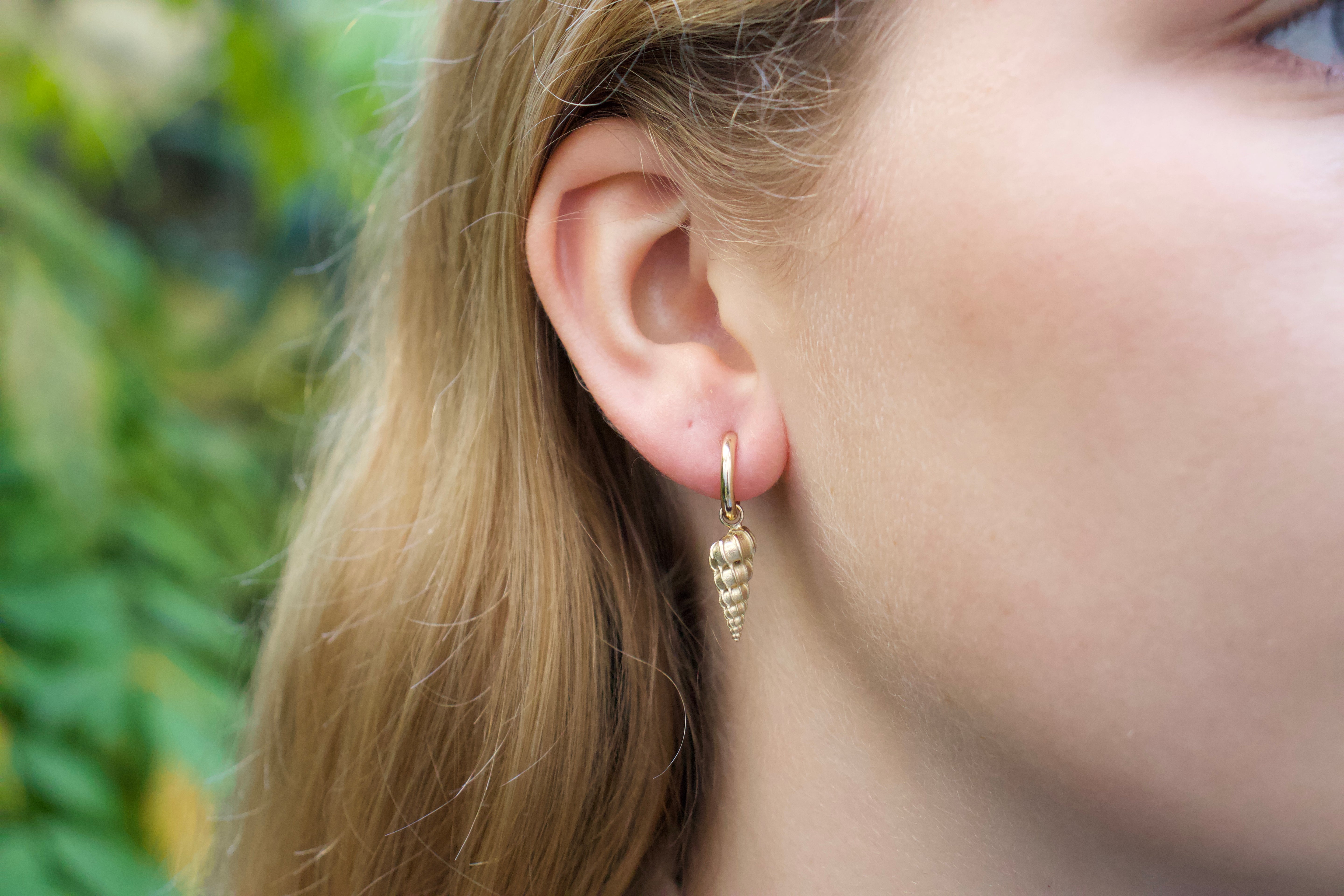 Wentletrap shell earrings. Daymer Bay earrings. Cornwall jewellery. Cornwall shell jewellery.