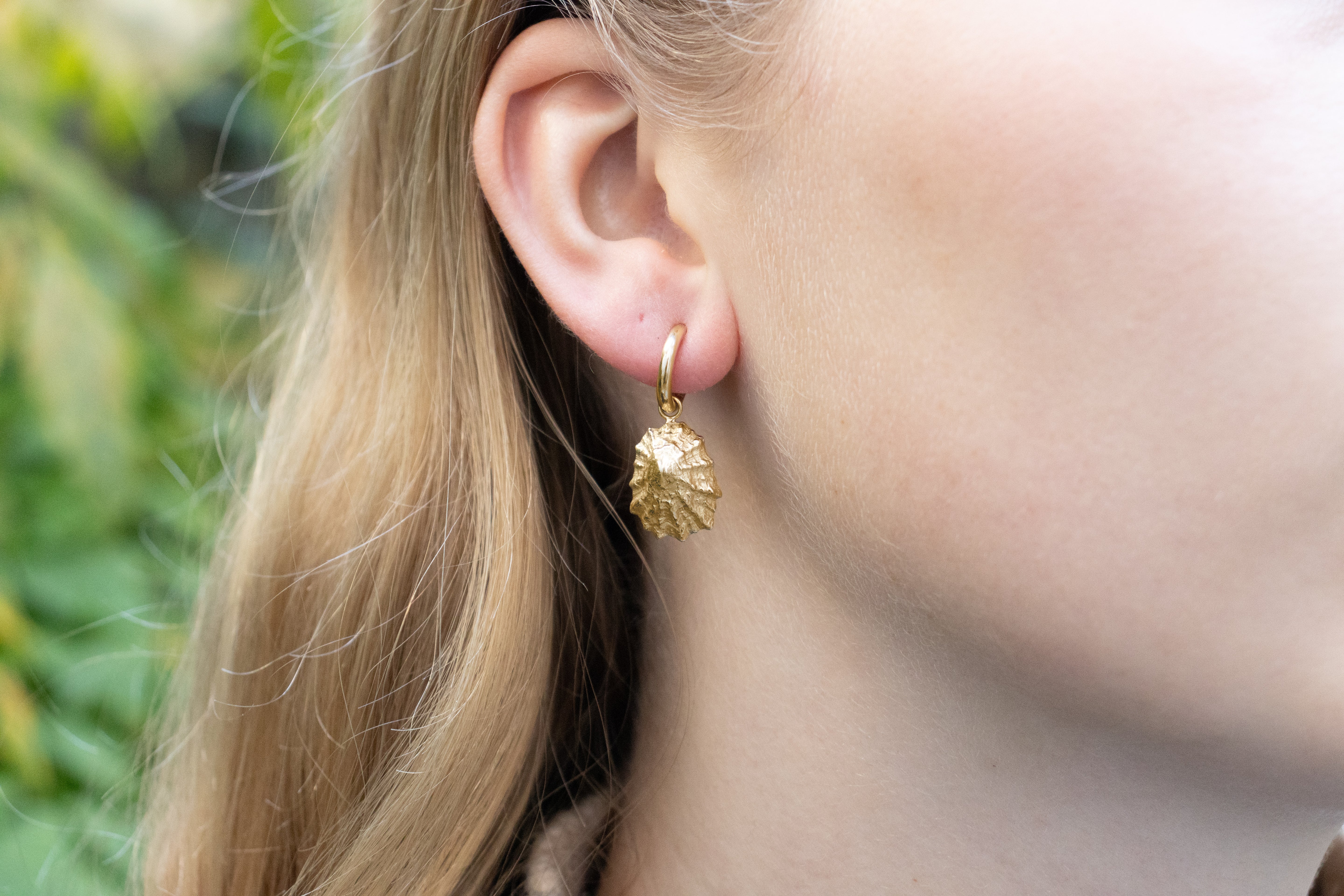 Limpet shell earrings. Constantine Bay earrings. Cornwall jewellery. Cornwall shell jewellery.