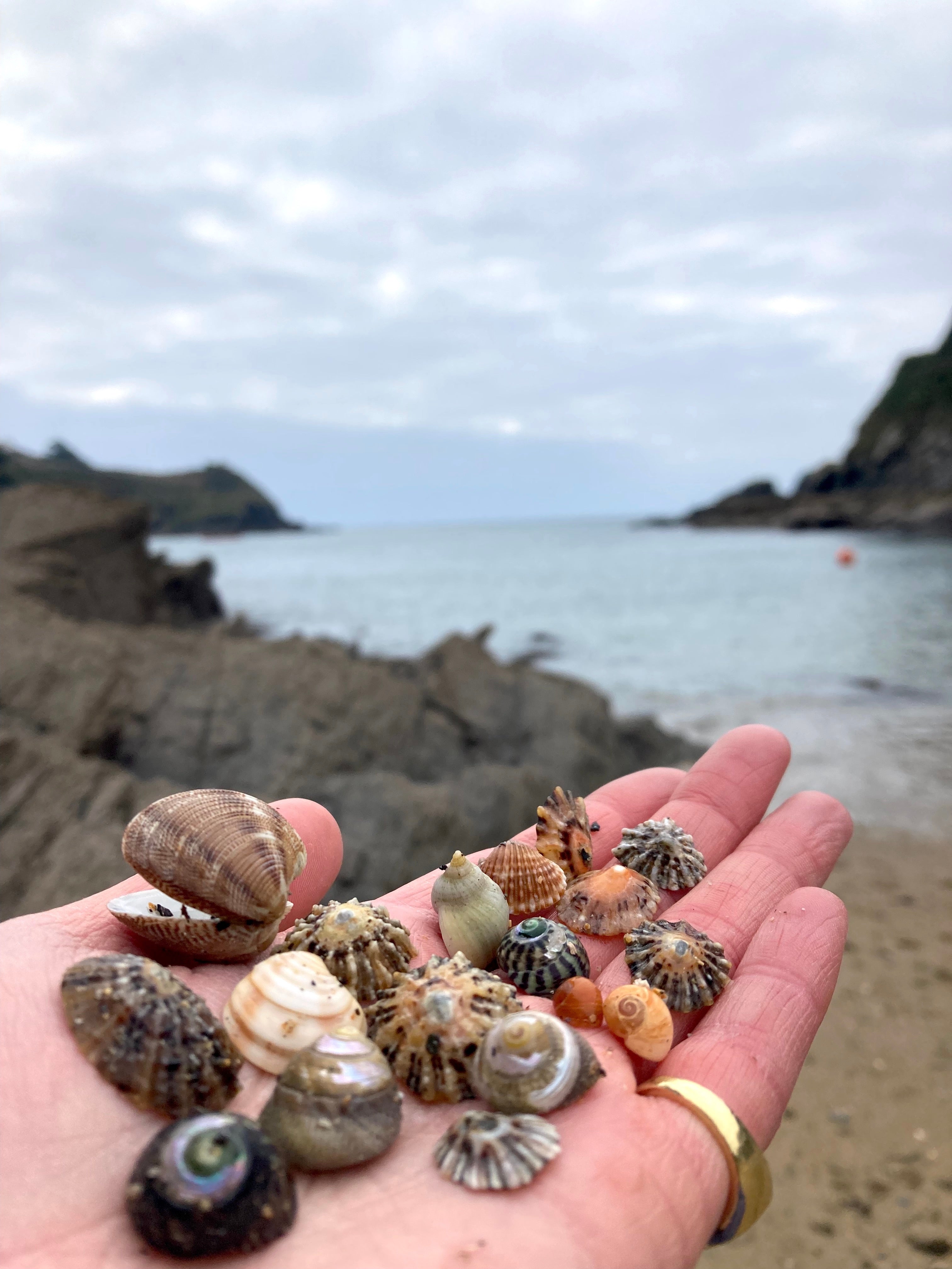 Fowey pendant. Fowey necklace. Cornwall jewellery. Cornwall shell jewellery. Silver shell jewellery. Gold shell jewellery. Those Happy Places.