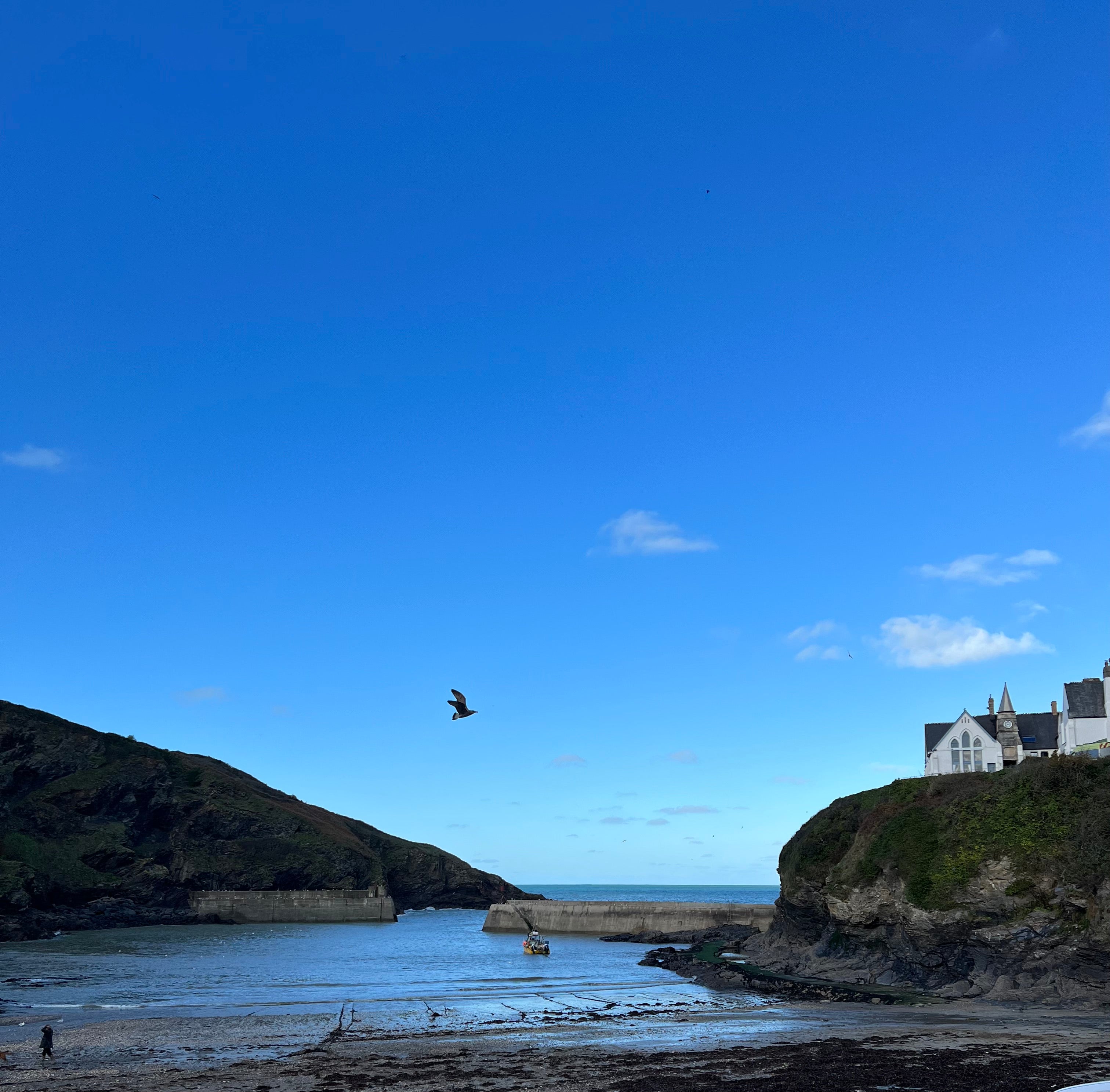 Port Isaac bracelet. Port Isaac, Cornwall. Cornwall jewellery. Cornish jewellery. Shell bracelet. Silver shell bracelet. Cornish shell jewellery. Silver shell jewellery. Gold shell jewellery. Those Happy Places. Serena Ansell Jewellery.