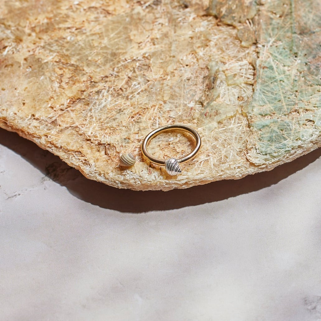 Port Isaac ring. Port Isaac shell. Port Isaac jewellery. Port Isaac Cornwall. Cornwall jewellery. Cornwall shell jewellery. Silver shell jewellery. Gold shell jewellery. Those Happy Places. Serena Ansell Jewellery.