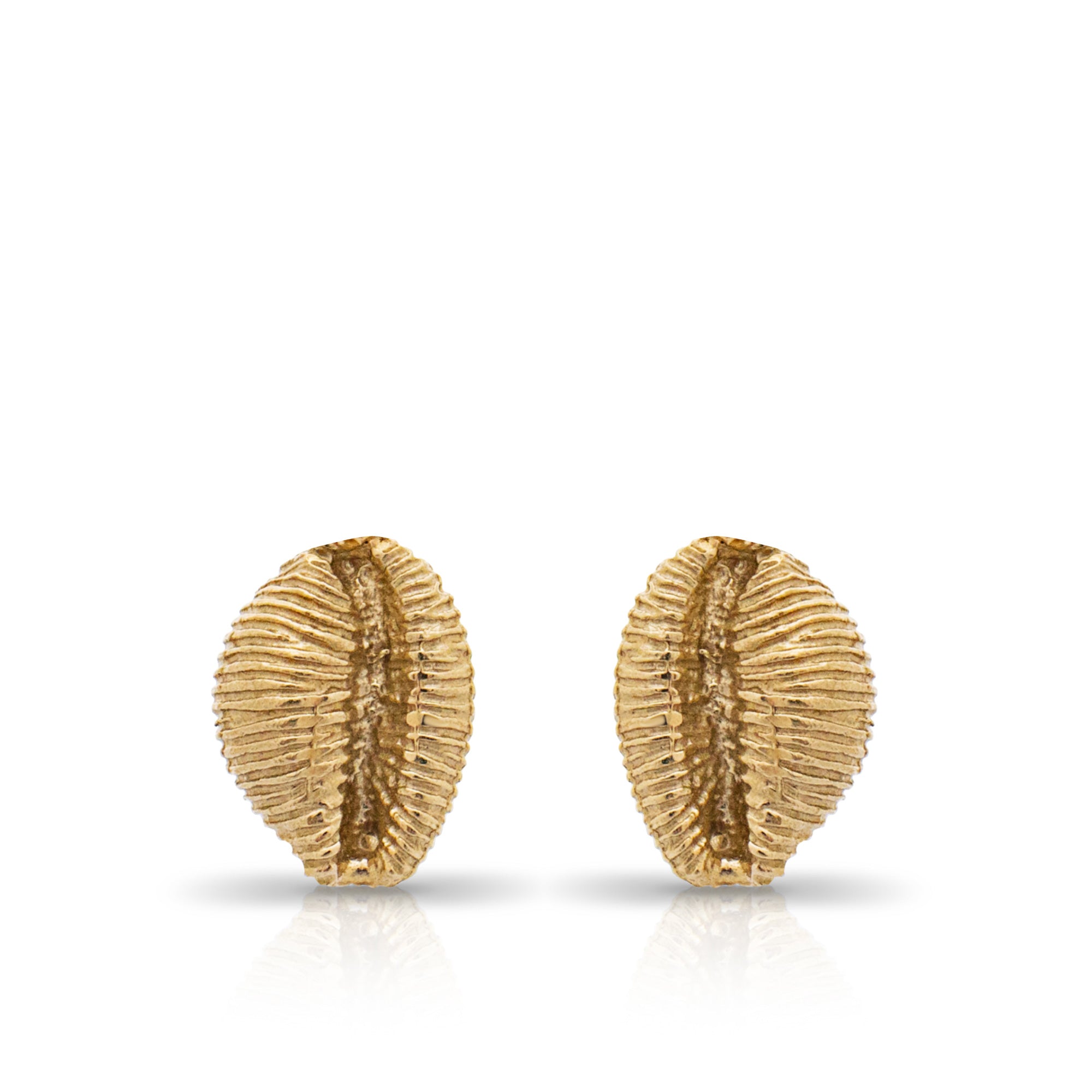 Langland stud earrings. Cowrie shell stud earrings. Mumbles jewellery. Langland Bay, Wales. Wales jewellery. Gower jewellery. Wales shell jewellery. Silver shell jewellery. Gold shell jewellery. Those Happy Places. Serena Ansell Jewellery. Cowrie earrings.