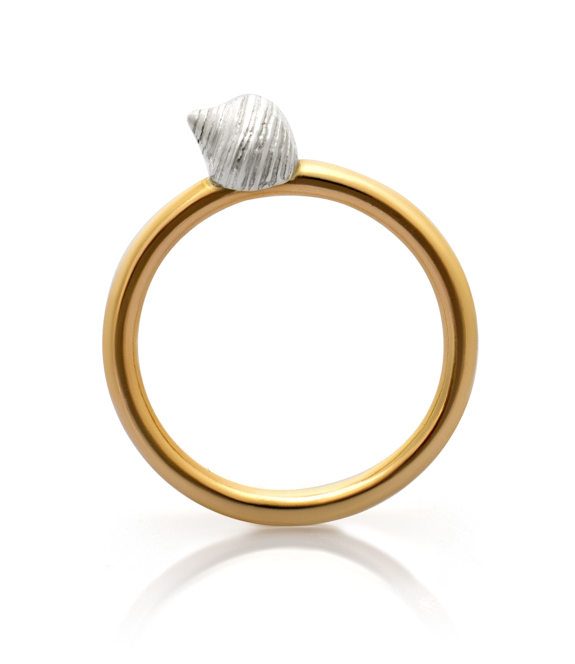 Port Isaac ring. Port Isaac shell. Port Isaac jewellery. Port Isaac Cornwall. Cornwall jewellery. Cornwall shell jewellery. Silver shell jewellery. Gold shell jewellery. Those Happy Places. Serena Ansell Jewellery.