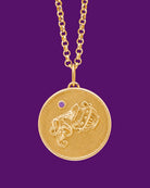 Aquarius Zodiac pendant. Aquarius Zodiac necklace.  Birthstone pendant. Birthstone jewellery. Medallion. Gold zodiac pendant. Solid gold and Amethyst pendant. Disc pendant. Gold disc pendant.