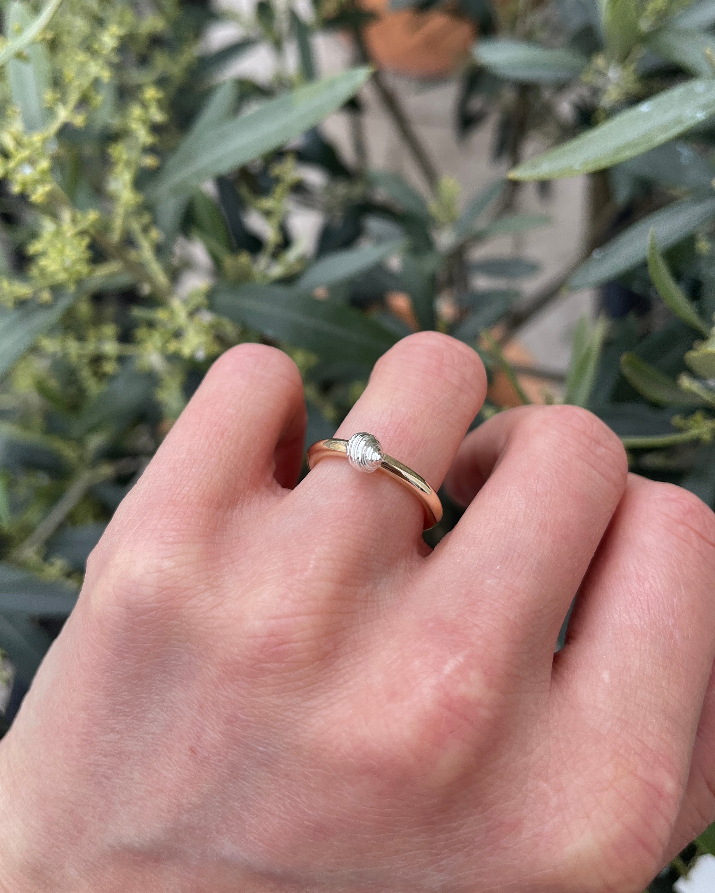 Port Isaac ring. Port Isaac shell. Port Isaac jewellery. Port Isaac Cornwall. Cornwall jewellery. Cornwall shell jewellery. Silver shell jewellery. Gold shell jewellery. Those Happy Places. Serena Ansell Jewellery.