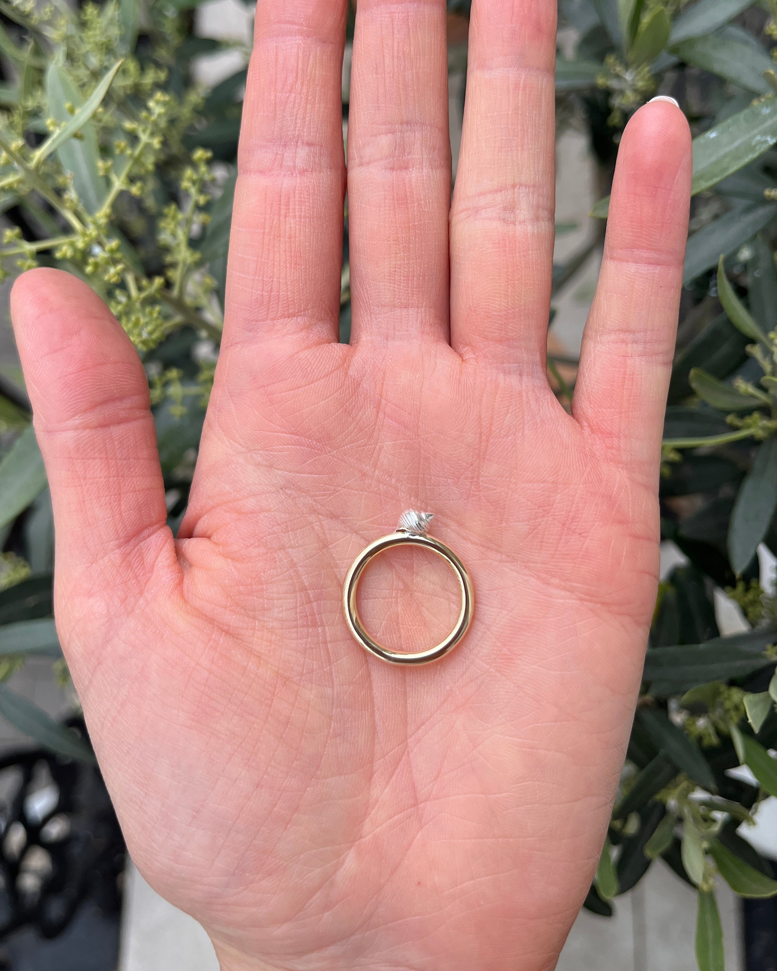Port Isaac ring. Port Isaac shell. Port Isaac jewellery. Port Isaac Cornwall. Cornwall jewellery. Cornwall shell jewellery. Silver shell jewellery. Gold shell jewellery. Those Happy Places. Serena Ansell Jewellery.