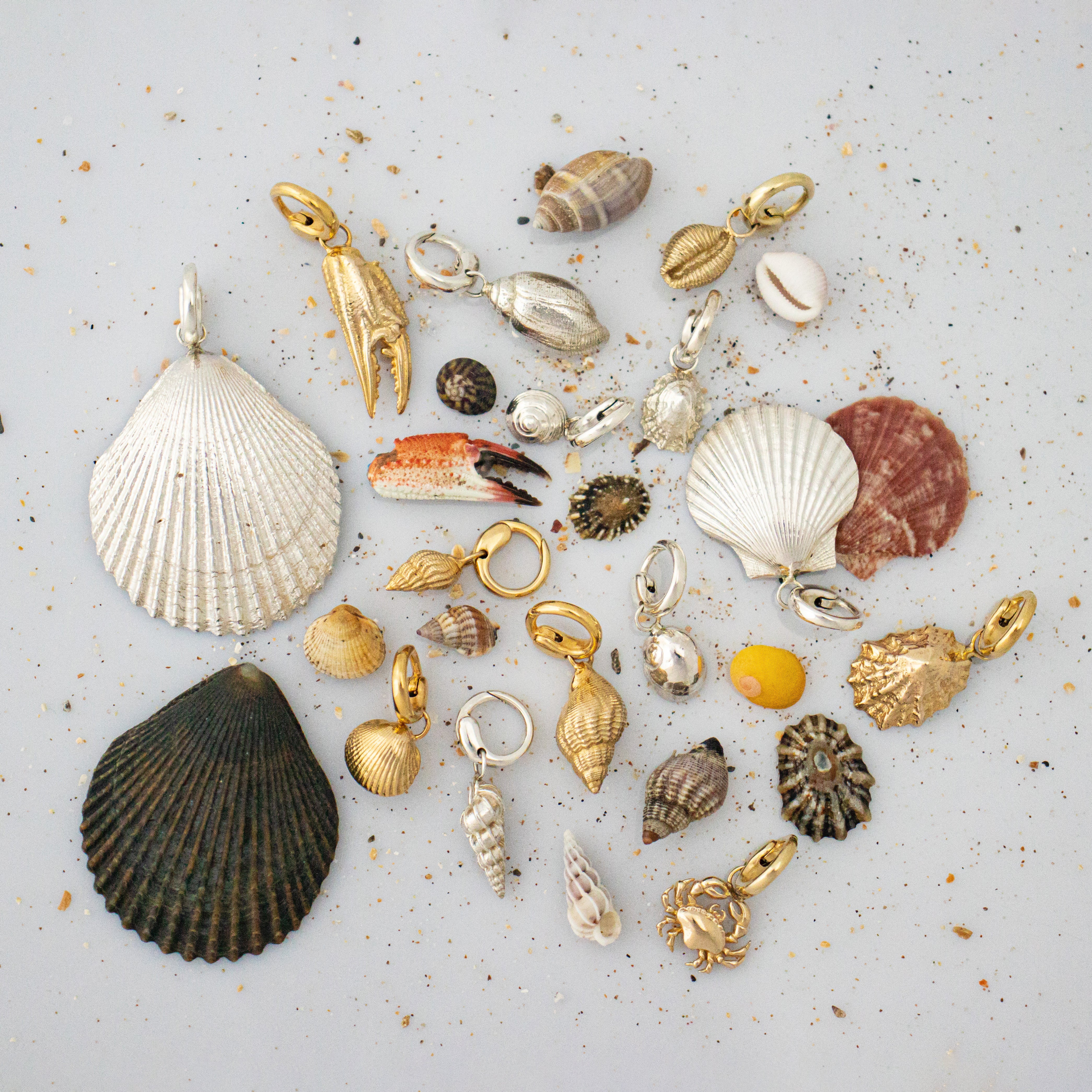 Port Isaac earrings. Port Isaac, Cornwall. Cornwall jewellery. Shell earrings. Cornish shell jewellery. Silver shell jewellery. Gold shell jewellery. Those Happy Places. Serena Ansell Jewellery.