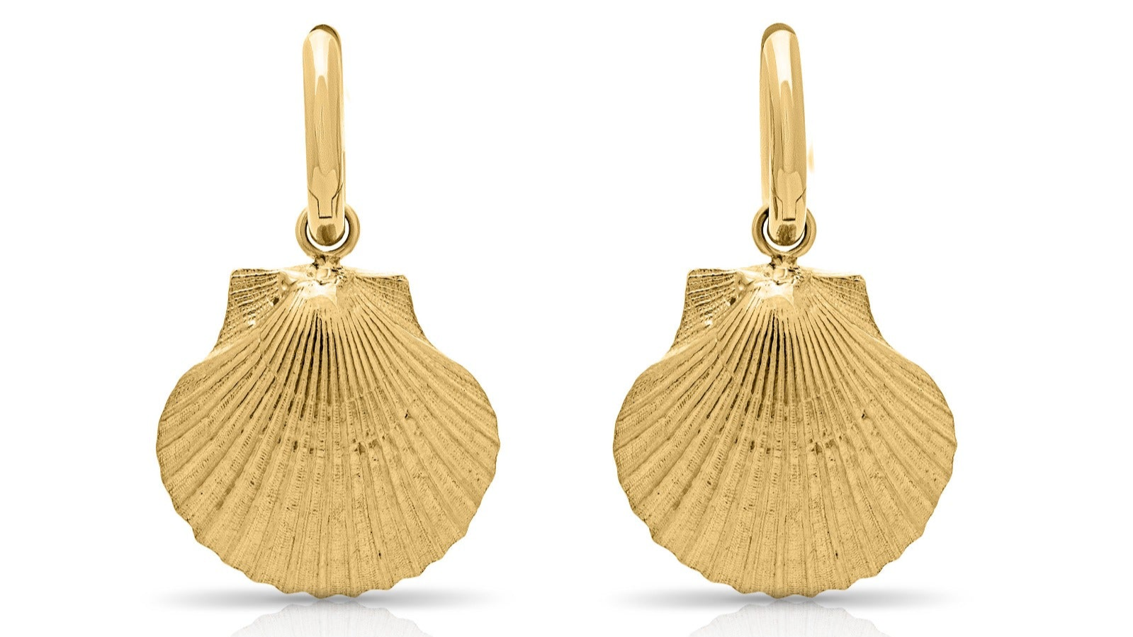 Scallop shell earrings. Gold shell earrings. 