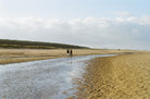 Holkham pendant. Scallop shell pendant. Holkham shell necklace. Holkham beach, Norfolk. Norfolk jewellery. Norfolk shell jewellery. Silver shell jewellery. Gold shell jewellery. Those Happy Places. 