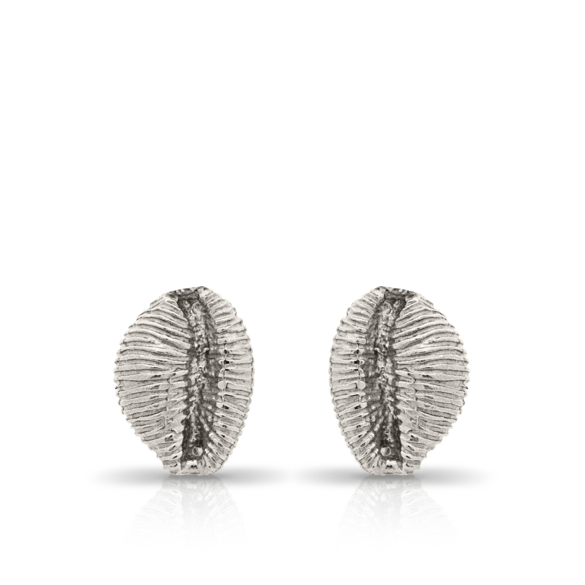 Langland stud earrings. Cowrie shell stud earrings. Mumbles jewellery. Langland Bay, Wales. Wales jewellery. Gower jewellery. Wales shell jewellery. Silver shell jewellery. Gold shell jewellery. Those Happy Places. Serena Ansell Jewellery. Cowrie earrings.